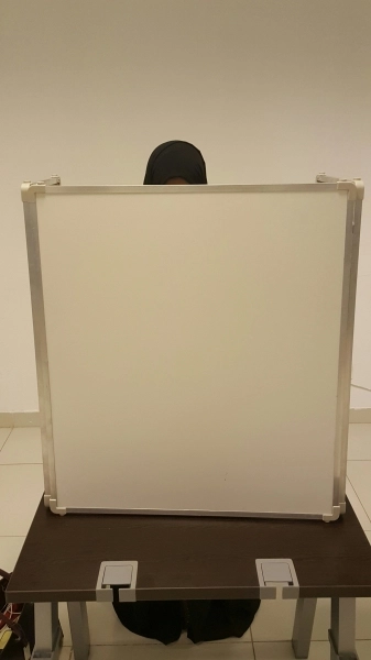 سيدة تقترع2