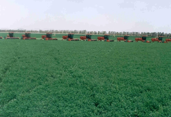 آليات أثناء حصاد الأعلاف (مكة)