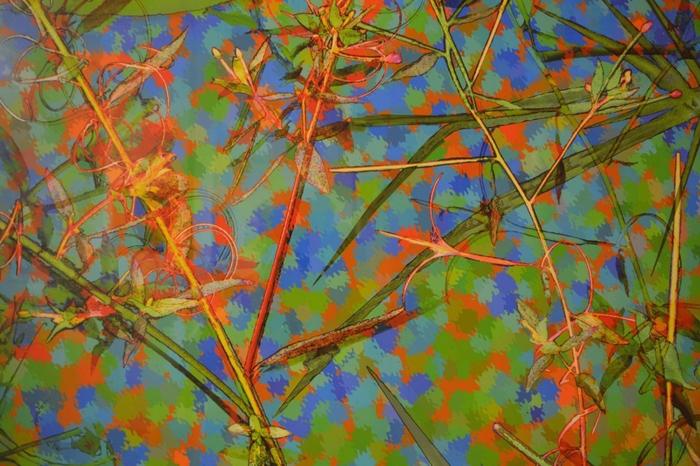 لوحة لتمارا جونز   (مكة)