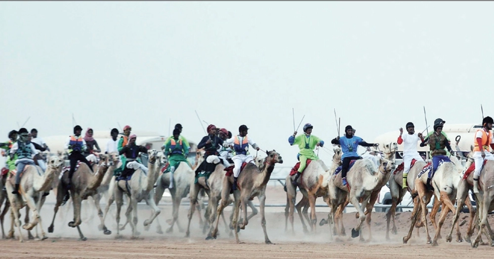 
    جانب من سبق الهجن الكبير