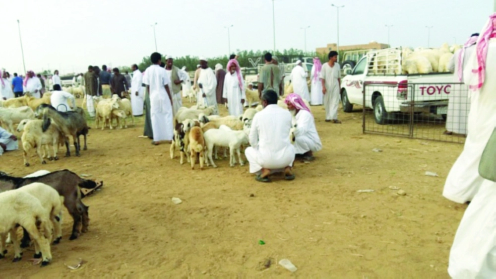 تجارة الماشية في سوق المظيلف الشعبي