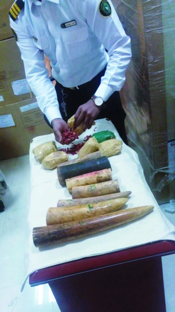 مضبوطات قطع العاج والمرجان البحري         (مكة)