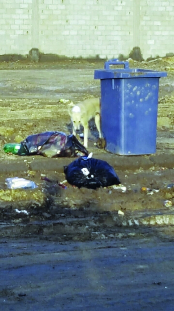 نفايات بجوار إحدى حاويات الحي   