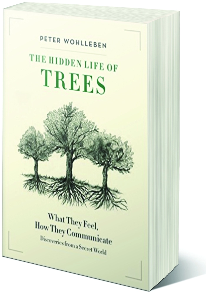  الحياة الخفية للأشجار