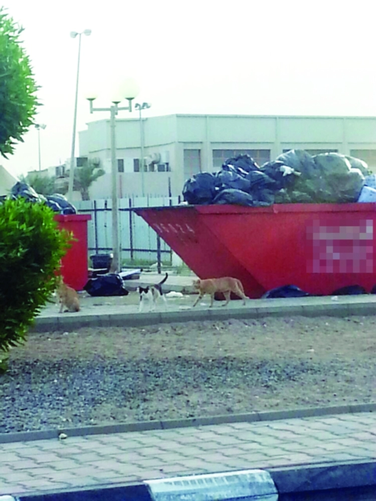 نفايات في باحة المستشفى