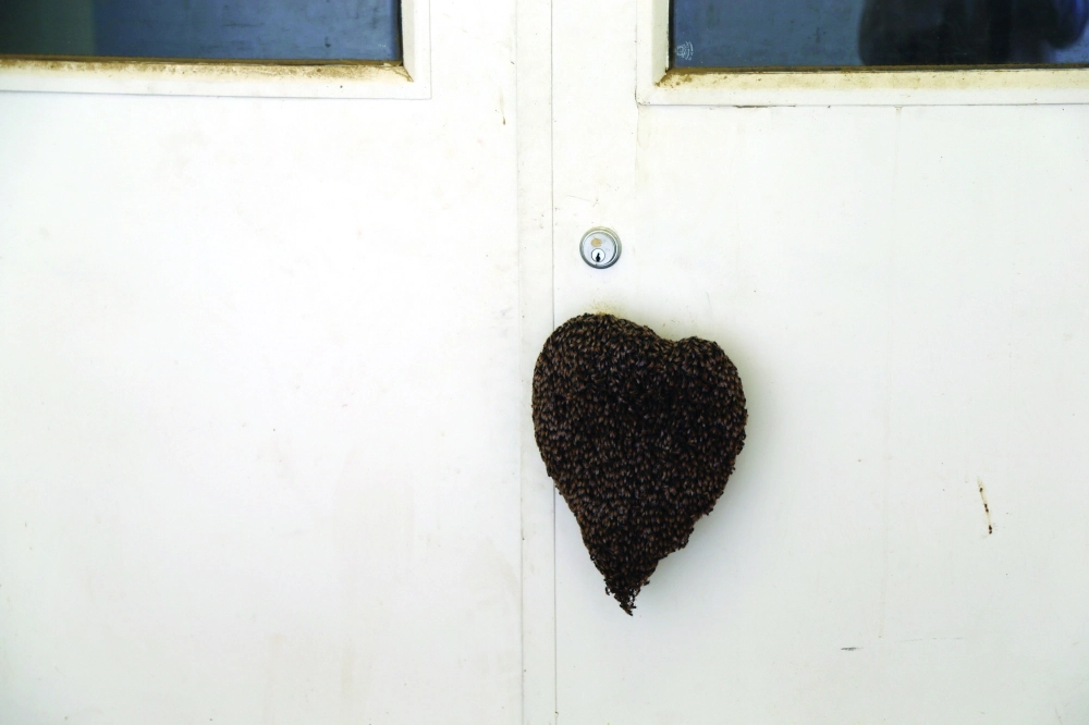 خلية نحل على أحد الأبواب      (أحمد جابر)