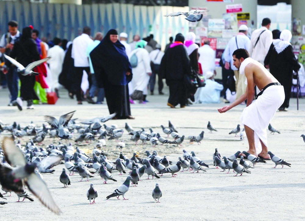 معتمر يلقي بالحبوب لإطعام الحمام