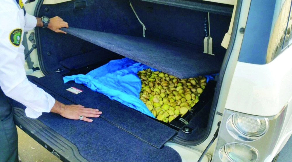 ثمار القورو المحظورة خلال ضبطها                                                                (مكة) 