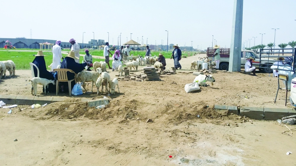 أصحاب الماشية وسط المتنزه