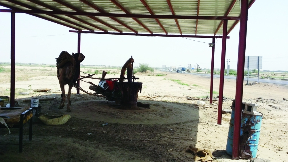 إحدى المعاصر التقليدية بجازان              (مكة)