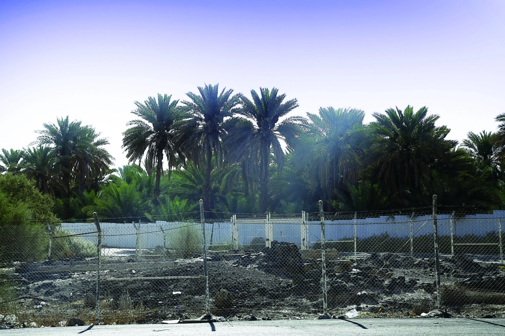 بئر سلمان الفارسي بالعوالي       (محمد عبداللطيف)