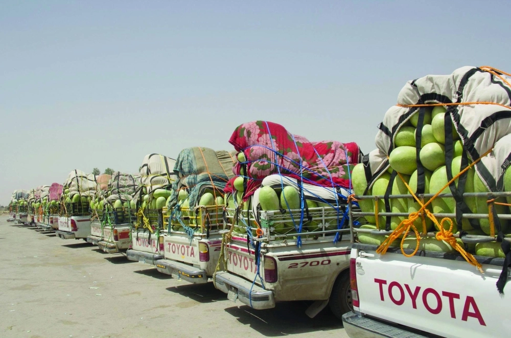 سيارات نقل تستعد لترويج كميات من بطيخ مكة                                                                                                 (مكة)