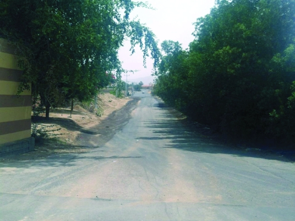 هنا توقف مشروع السفلتة                                     (مكة)