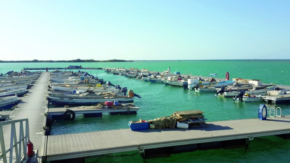 مرسى شاطئ ثول     (مكة) 