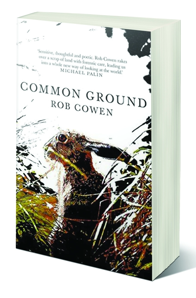  الأرضية المشتركة