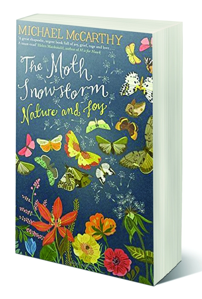  عاصفة الفراش