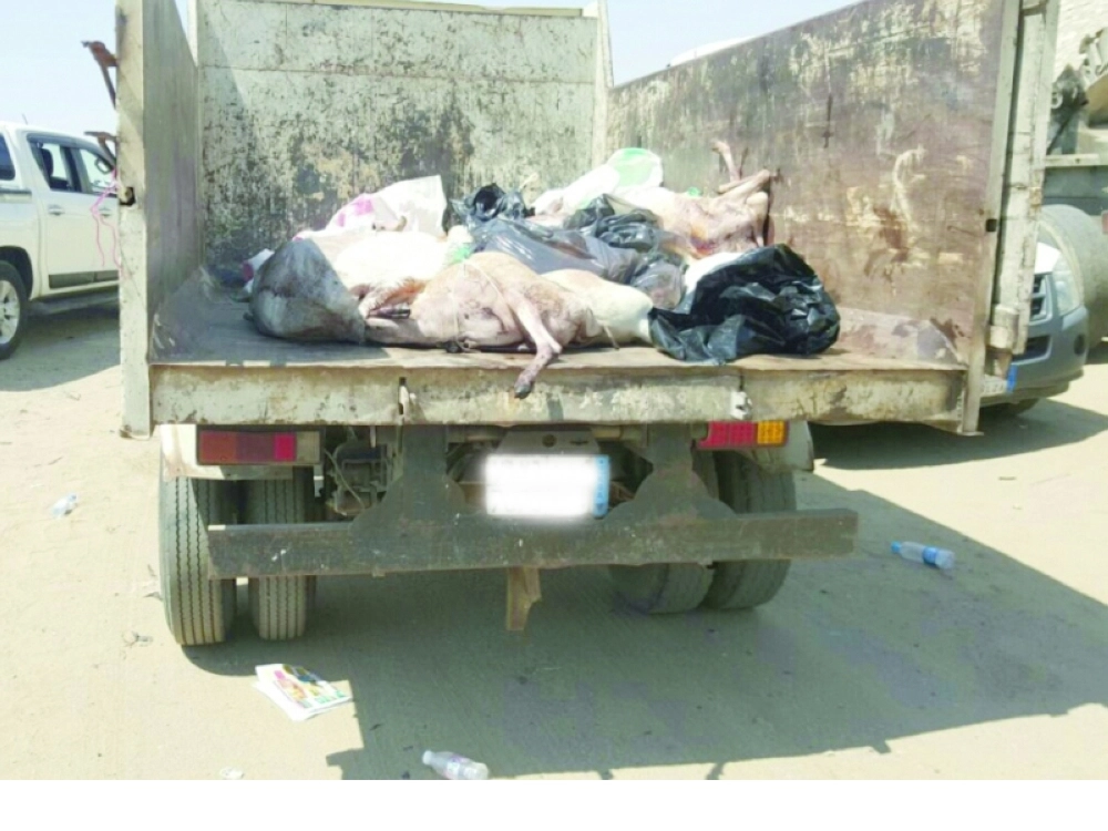 أضاحي مهربة من مكة المكرمة (مكة)