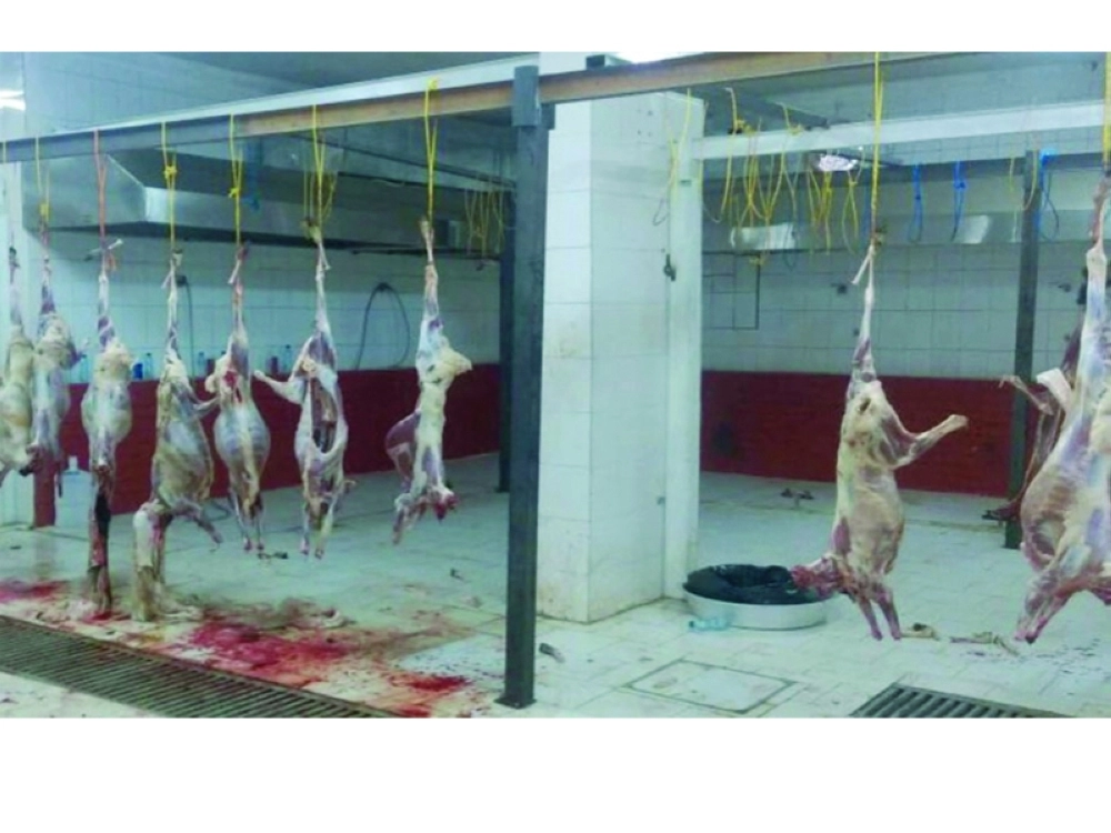 المطبخ العشوائي المضبوط (مكة)