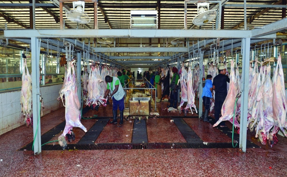 عمليات الذبح داخل مسلخ الكعكية                                         (عبدالمحسن دومان)