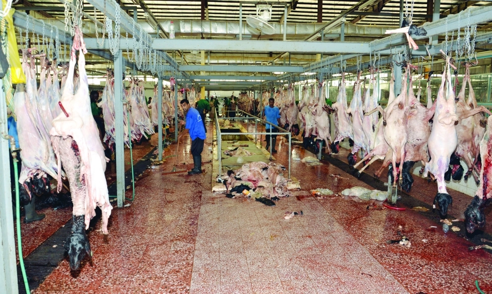 عمليات الذبح داخل مسلخ الكعكية  (عبدالمحسن دومان)