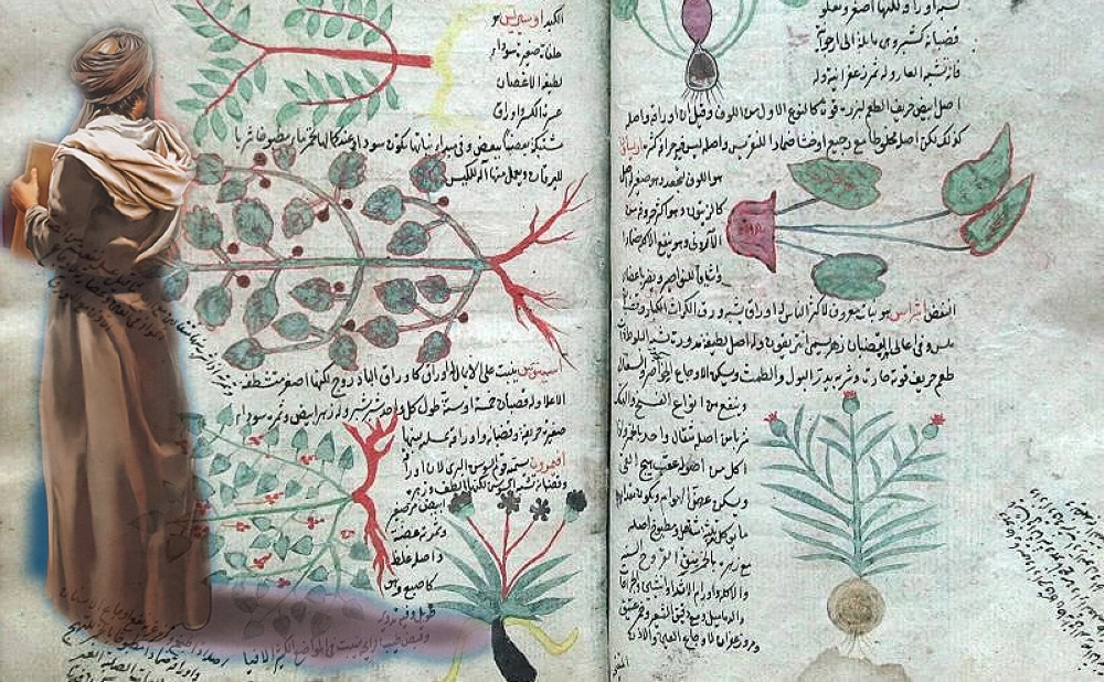 كتاب ابن هبل