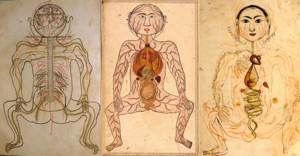 مخطوطات تشريحية لأنظمة الجسم الخمسة - العظام والأعصاب والعضلات والأوردة والشرايين.