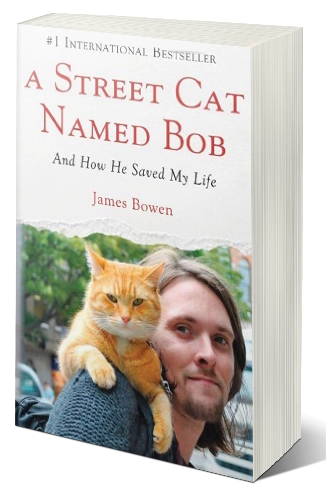 غلاف الرواية