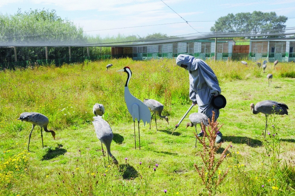 باحث داخل محمية طيور                 (أ ف ب) 