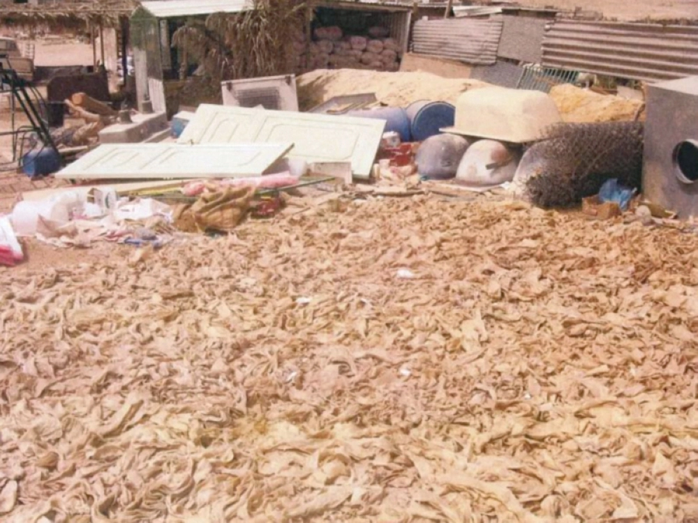 عجينة سمبوسة مهدرة (مكة) 