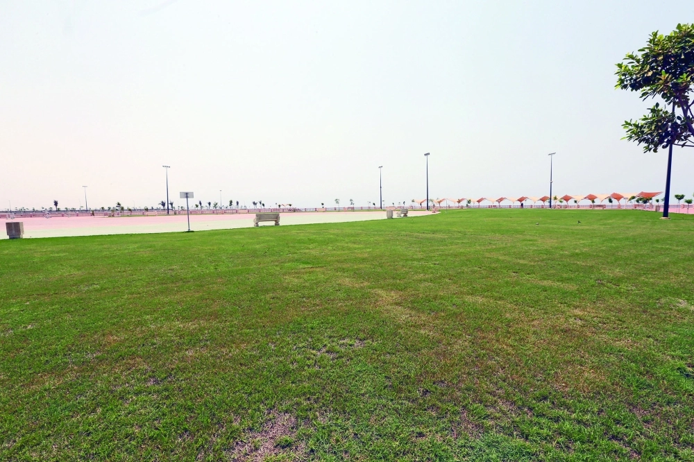 المسطحات الخضراء في متنزه ذهبان البحري  (مكة) 