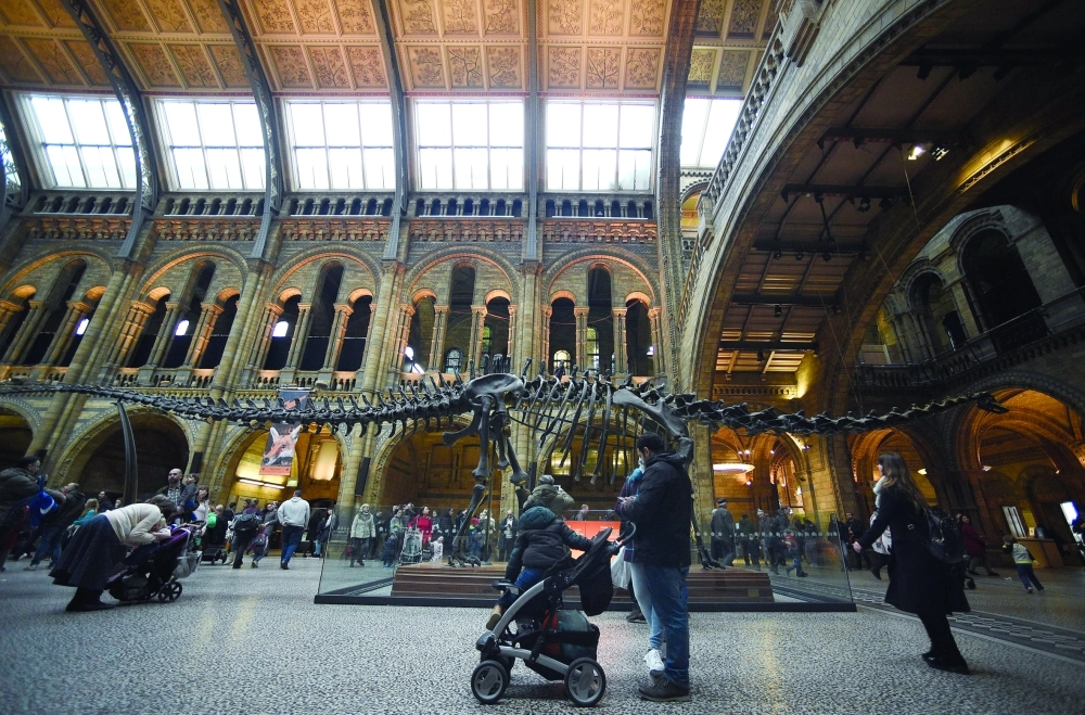 هيكل الديناصور ديبي  (إ ب أ)