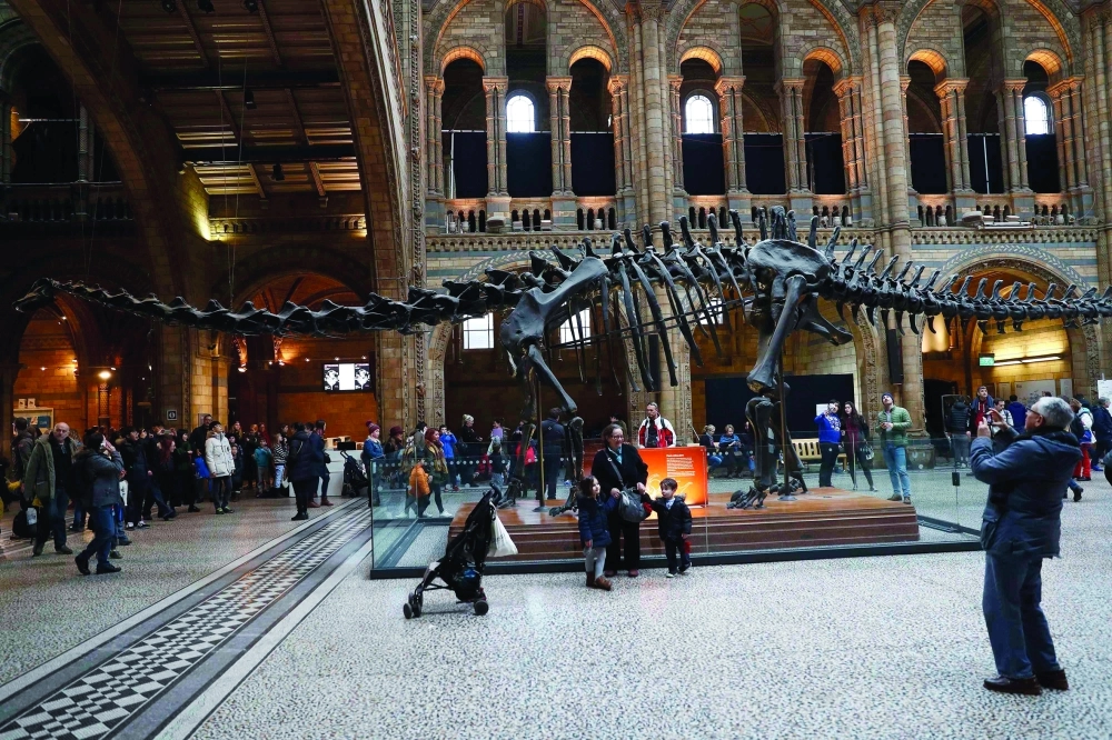 هيكل الديناصور ديبي  (رويترز)