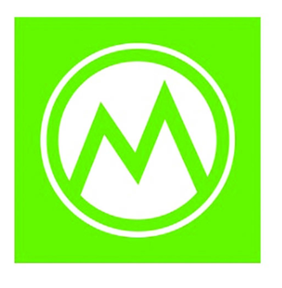 Money View Money Manager