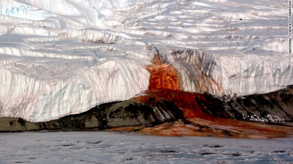 شلالات الدم