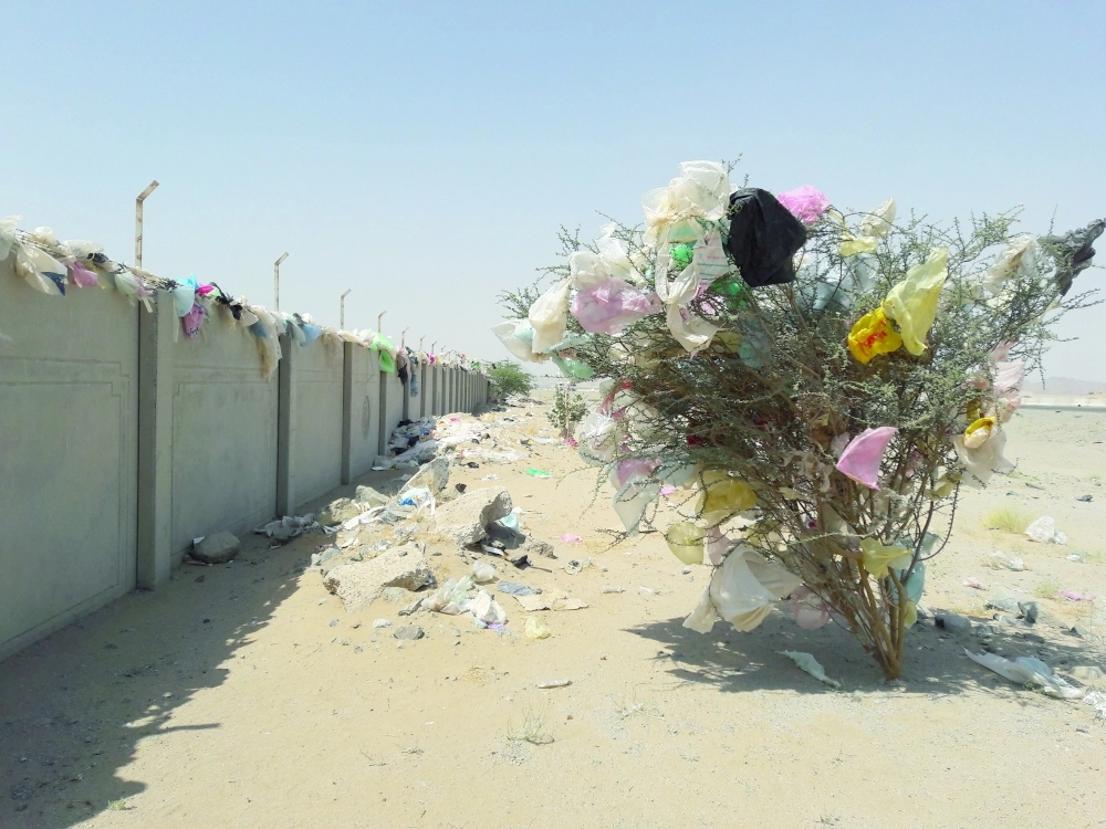 أكياس بلاستيكية عالقة على إحدى الأشجار بجانب مكب النفايات بجدة                                                    (مكة)  