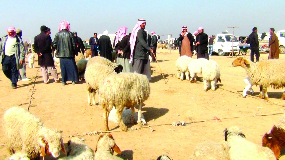 أحد أسواق المواشي                                                                        (مكة)