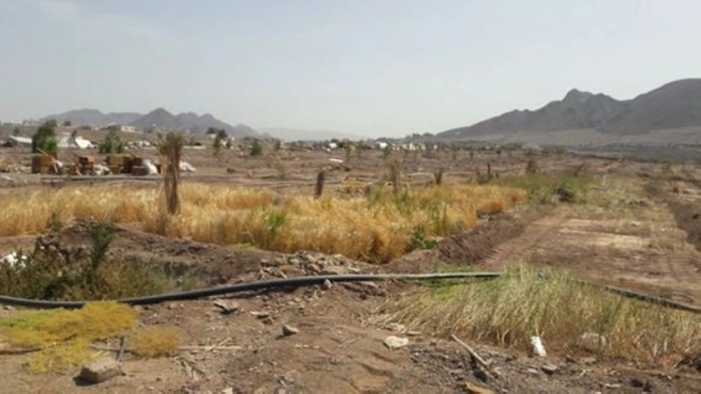 18198242_1369932889740349_3776971784115602741_n