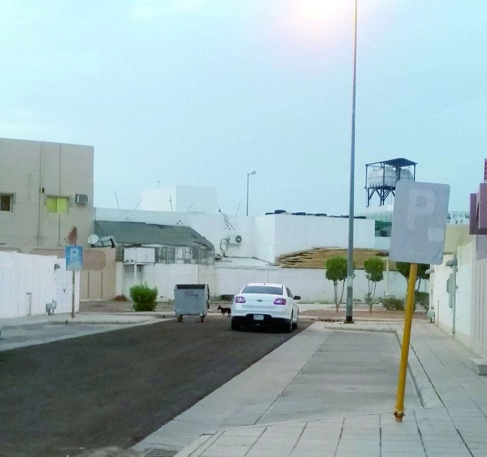  كلاب ضالة تتجول داخل الأحياء