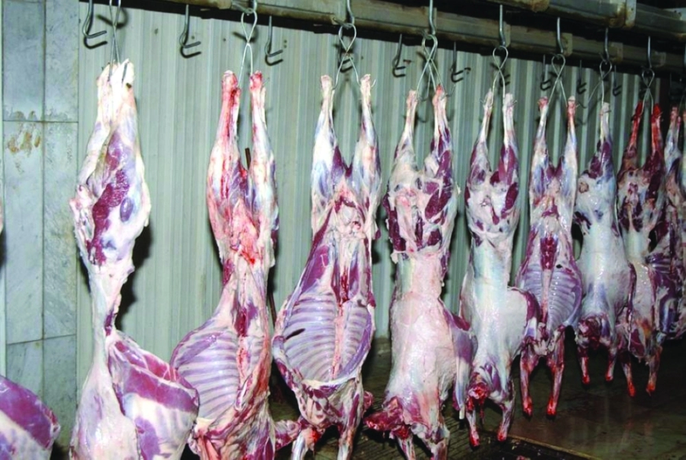 لحوم معدة للبيع                                                                   (مكة)