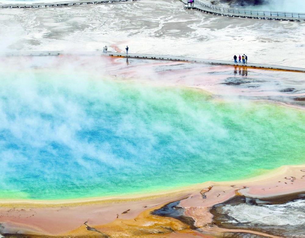 جانب من الموقع (express  ) 