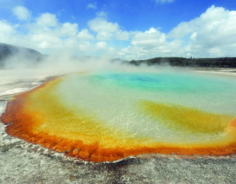 جانب من الموقع (express  ) 