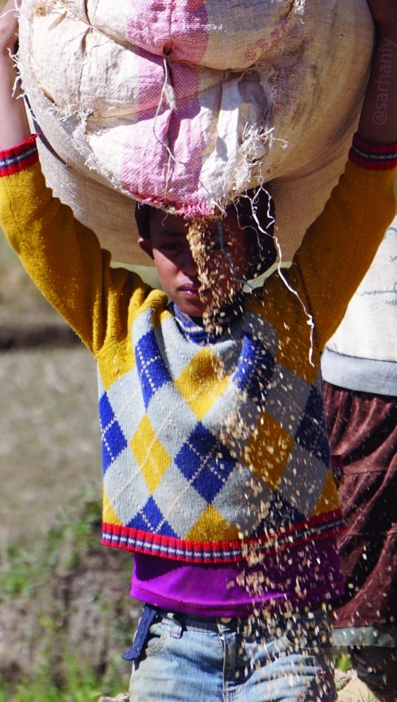 صورة من مدغشقر بعدسة إبراهيم سرحان