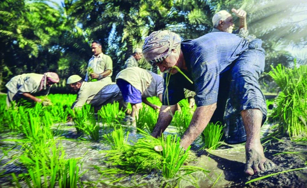 






من أعمال المشاركين في المعرض                 (مكة)