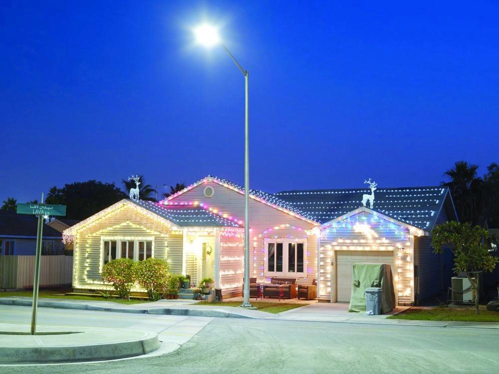 من صور كتاب عائشة (Wired)