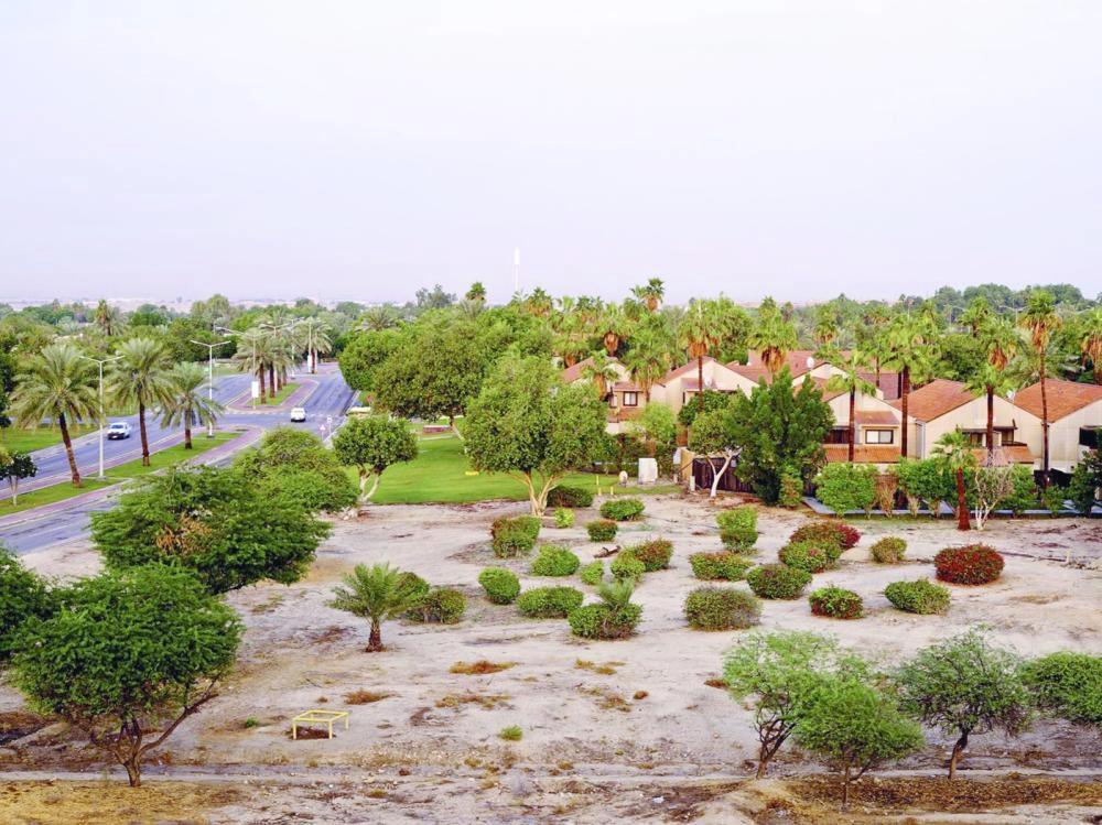 من صور كتاب عائشة (Bloomberg)