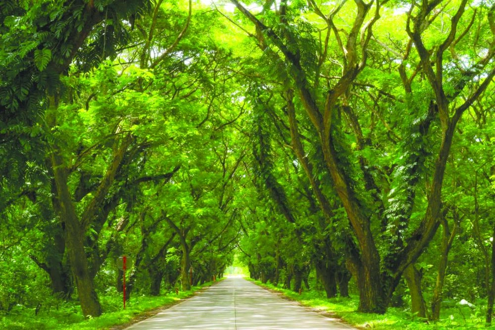 الطريق المستهدف توسيعه (The PHILIPPINE CANADIAN INQUIRER)