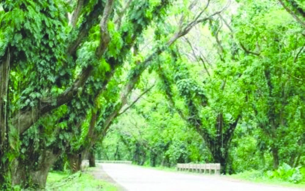 الطريق المستهدف توسيعه (The PHILIPPINE CANADIAN INQUIRER)