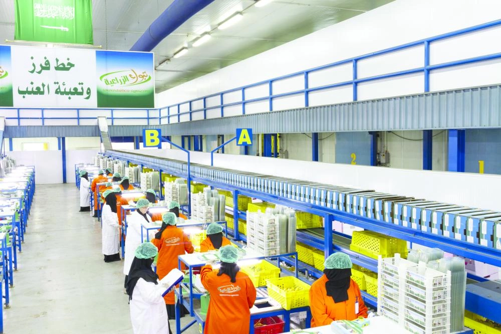 سيدات يعملن على خط الفرز والتعبئة بالشركة                                                                                                           (مكة)