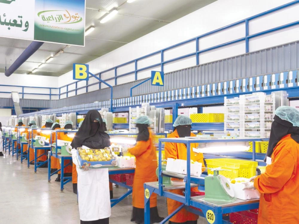 سيدات يعملن على خط الفرز والتعبئة بالشركة                                                                                                           (مكة)