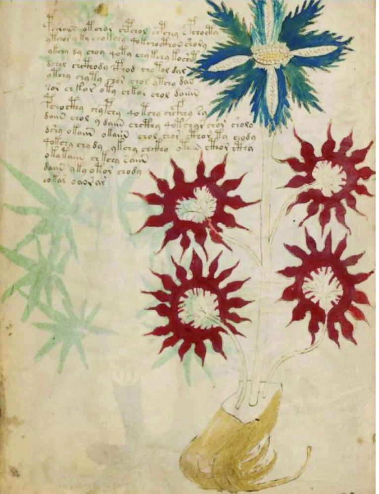 






  إحدى صفحات المخطوطة      (telegraph)